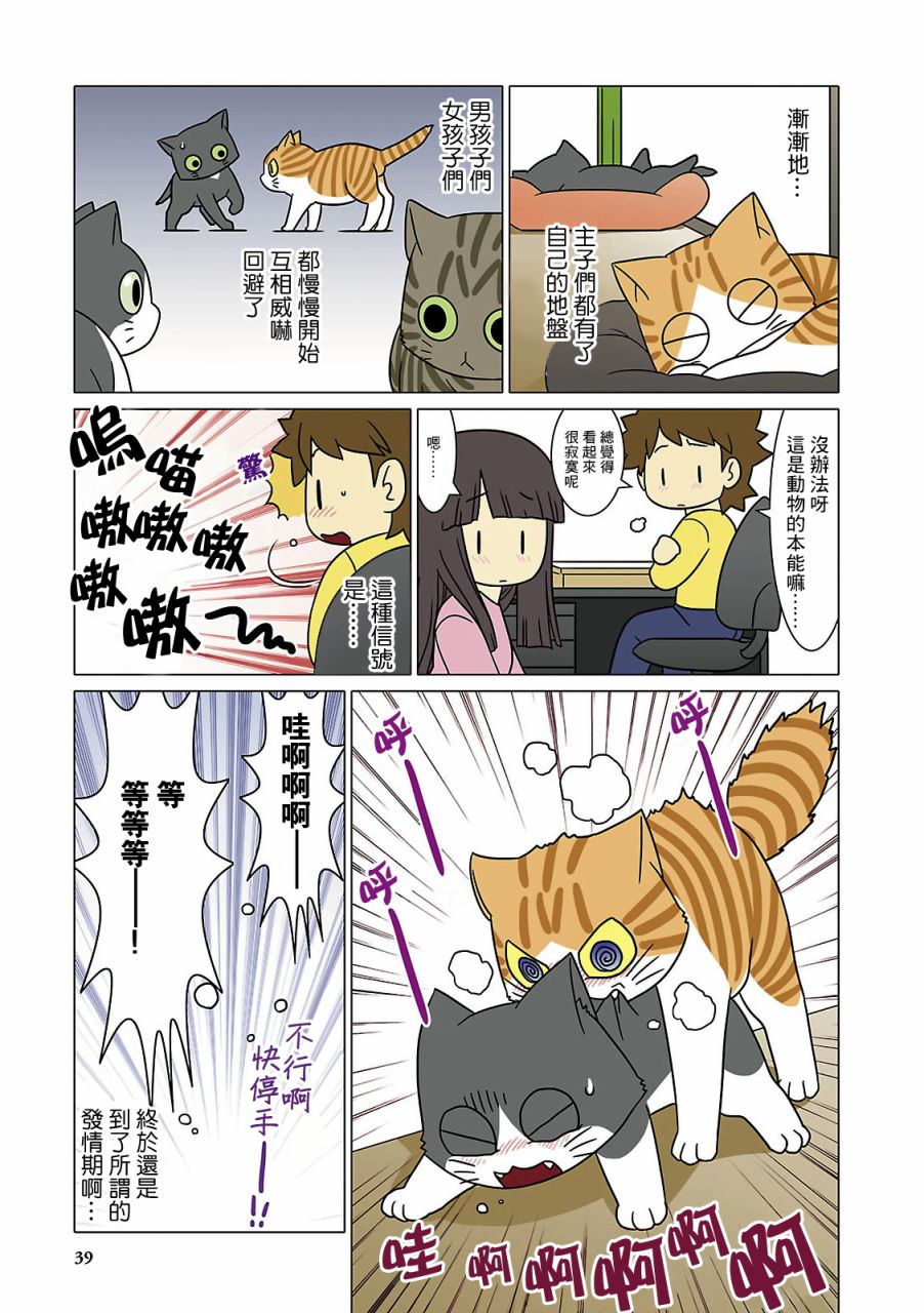 猫和我的日常漫画,第4话2图