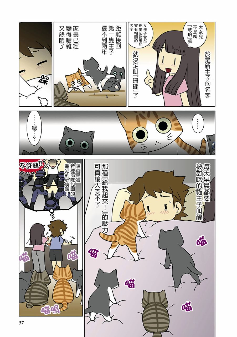 猫和我的日常漫画,第4话5图