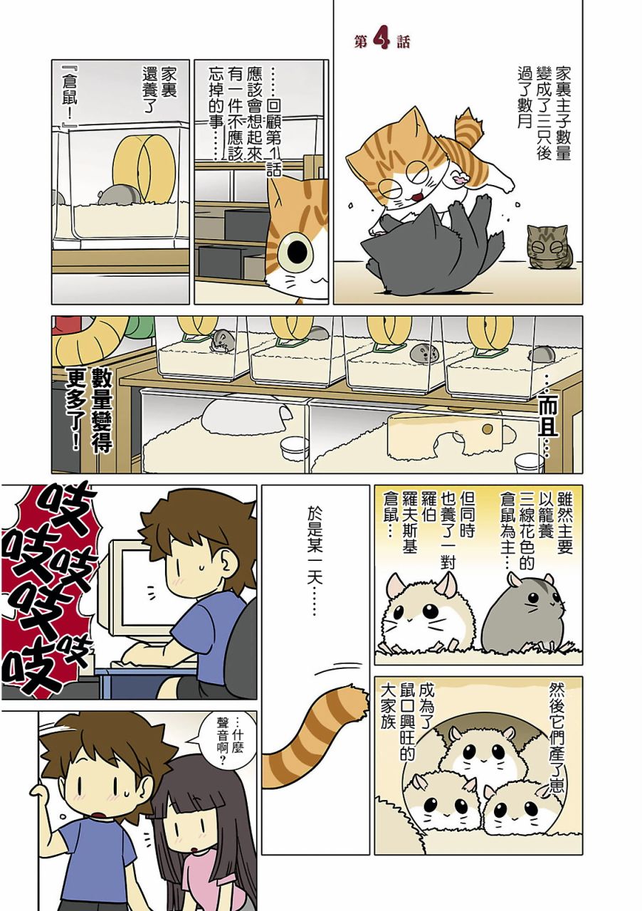 猫和我的日常漫画,第4话1图