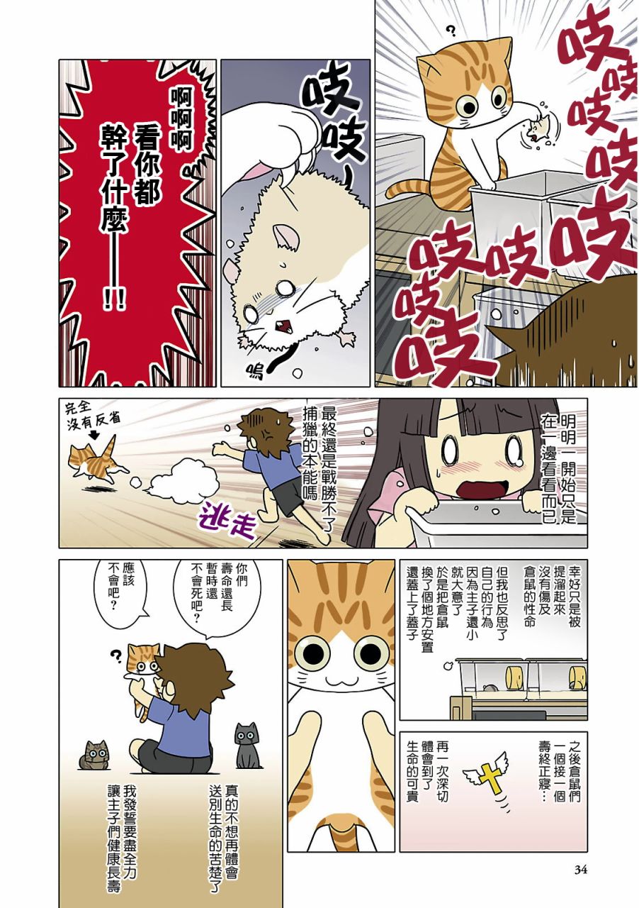 猫和我的日常漫画,第4话2图