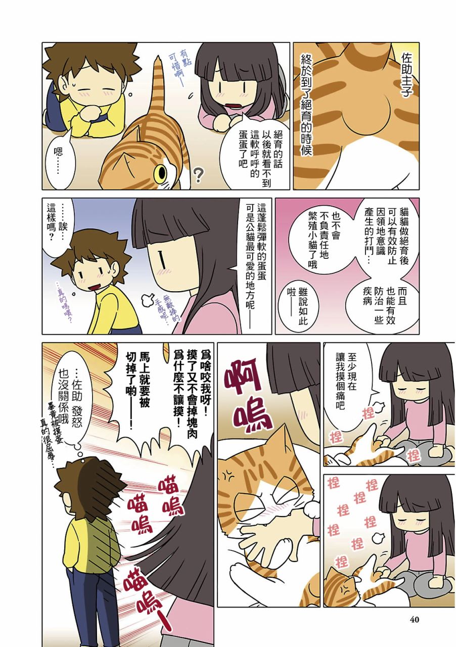 猫和我的日常漫画,第4话3图