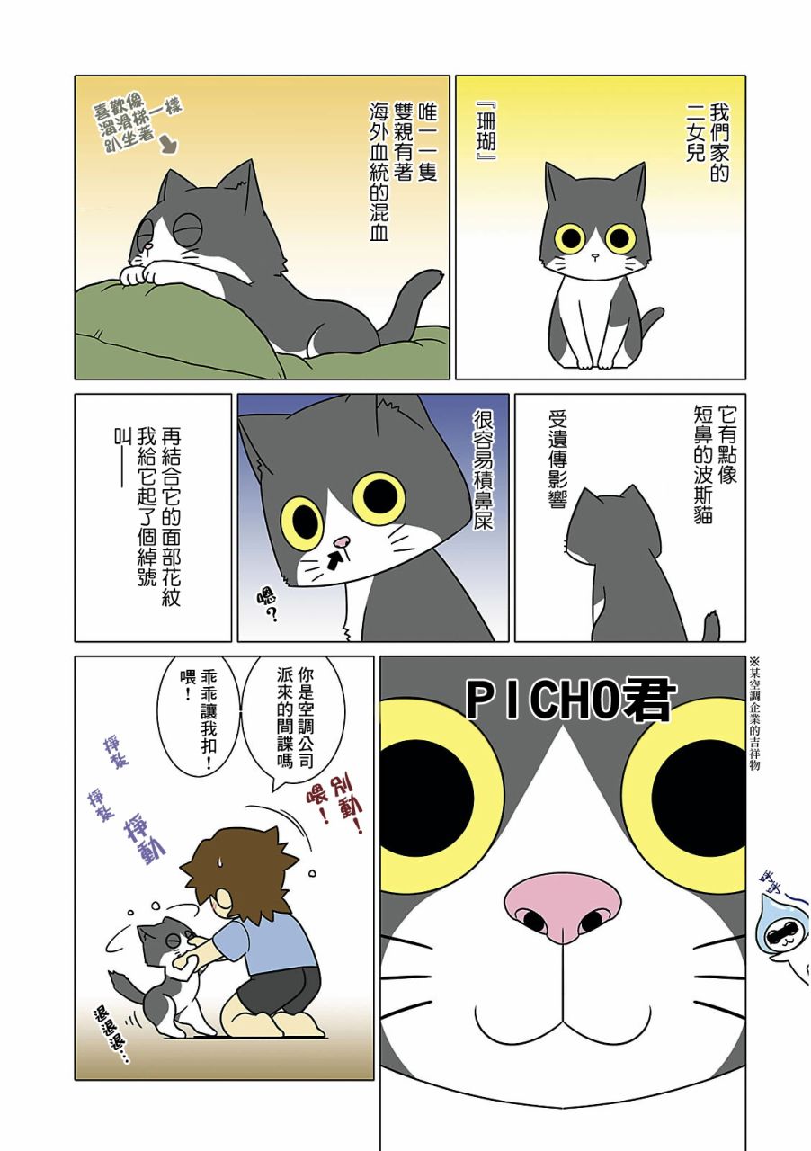 猫和我的日常漫画,第4话4图