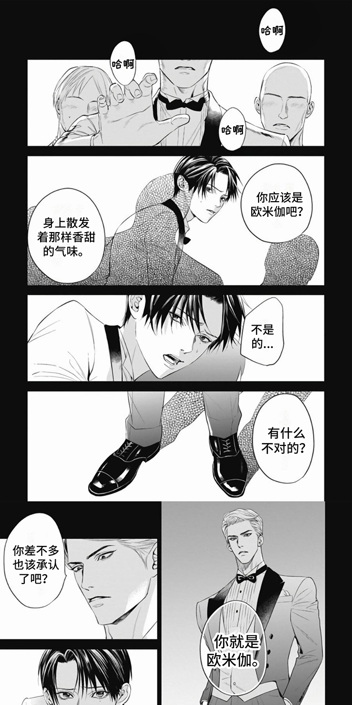 阿尔法的花嫁韩漫免费看漫画,第3话1图