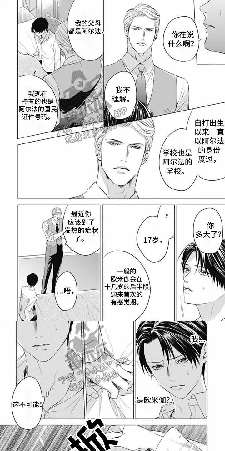 阿尔法的花嫁漫画,第6话1图