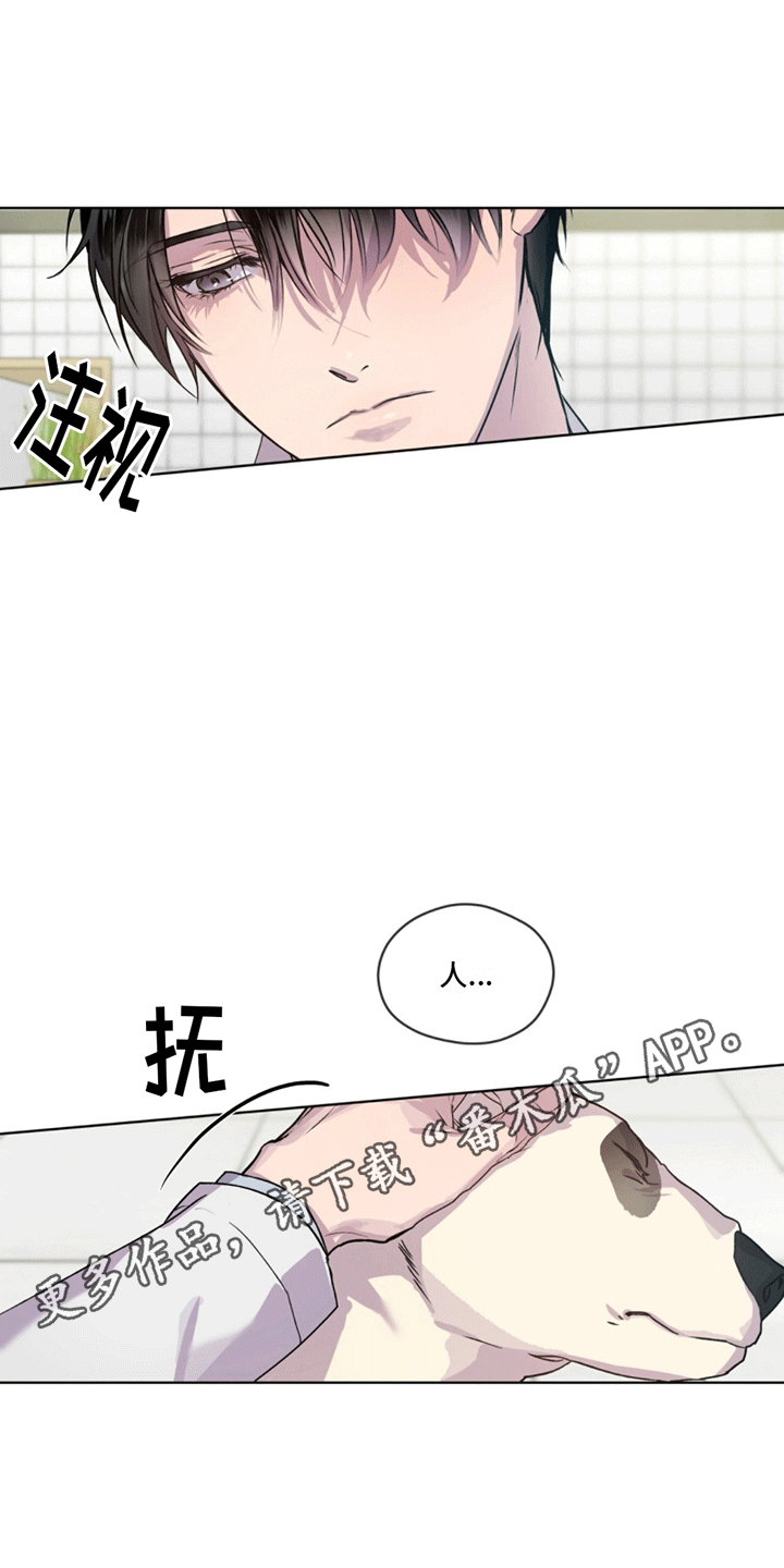 记忆断片是什么病引起的漫画,第5话1图