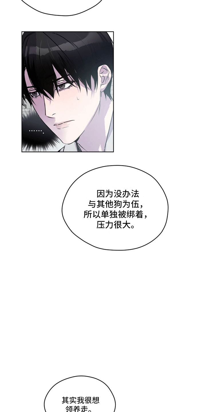 记忆断层是什么效应漫画,第10话1图