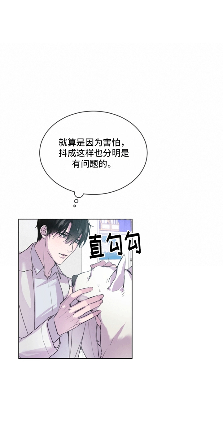 记忆断层是什么效应漫画,第3话5图