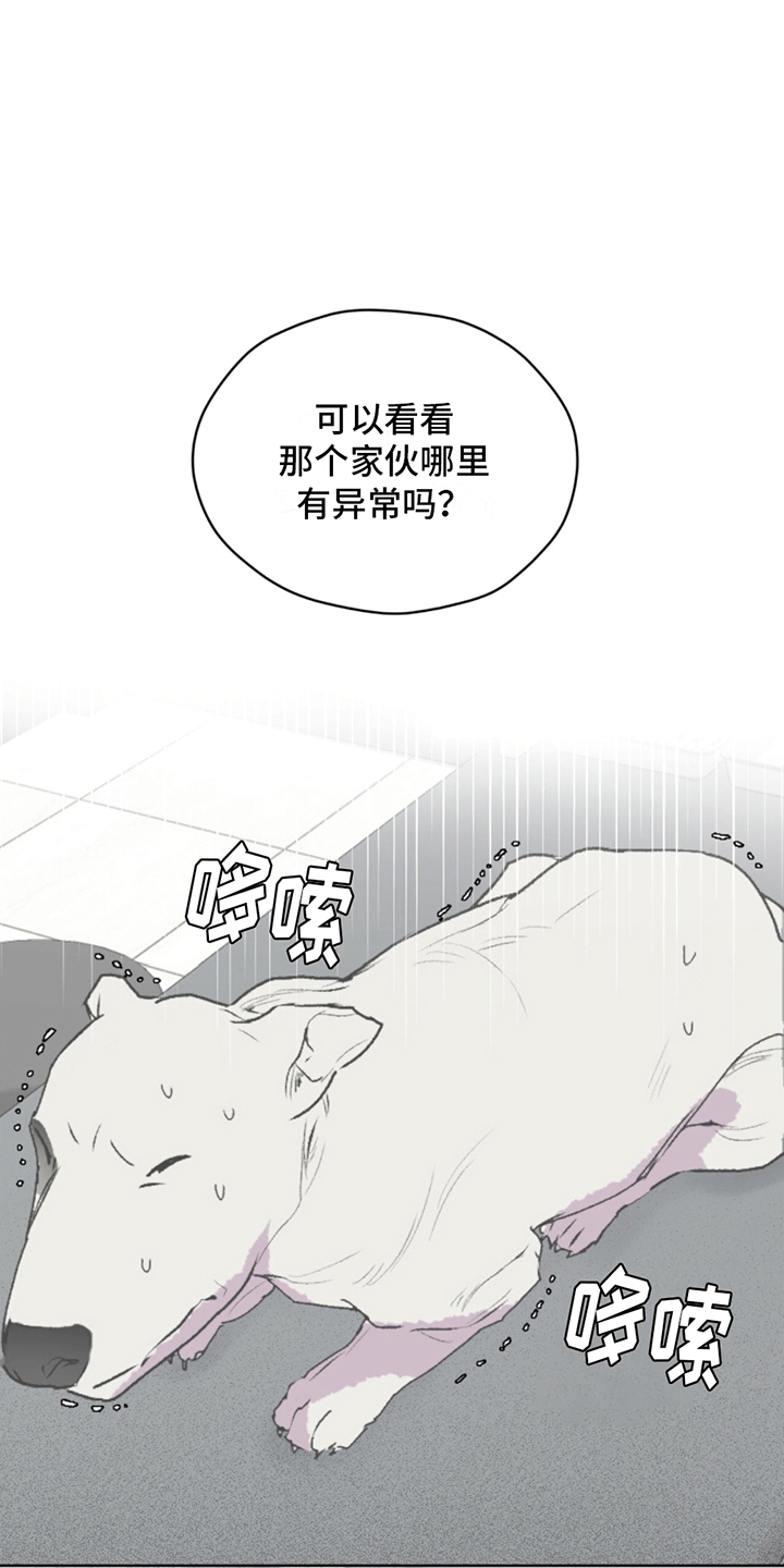 记忆断层是什么效应漫画,第3话1图