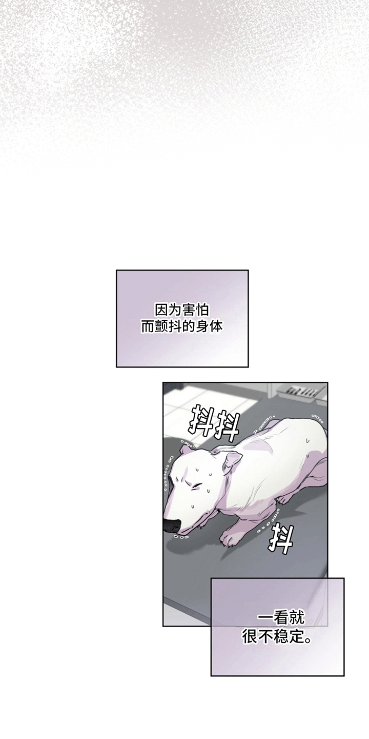 记忆断层是什么效应漫画,第3话4图