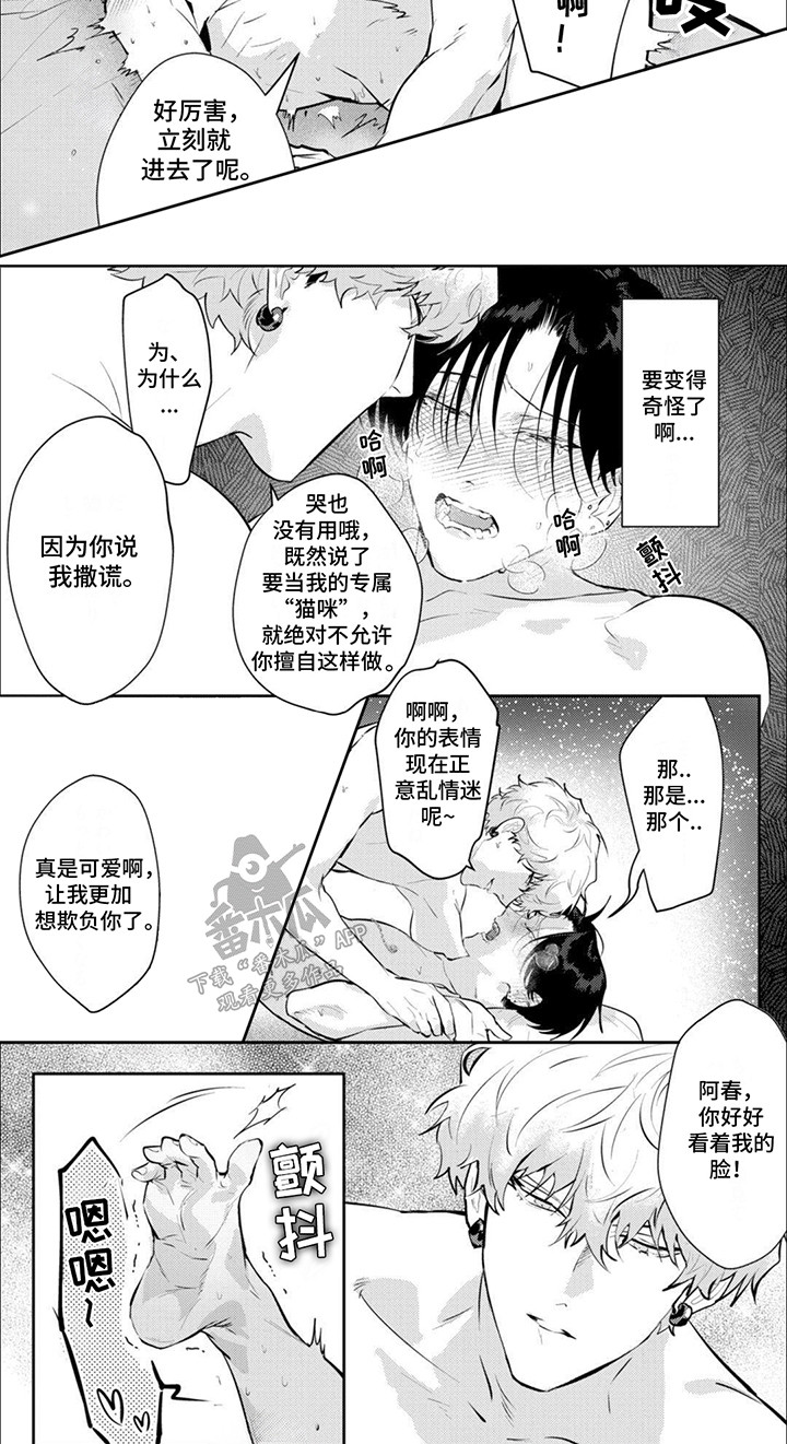 姻缘手机壁纸漫画,第10话1图