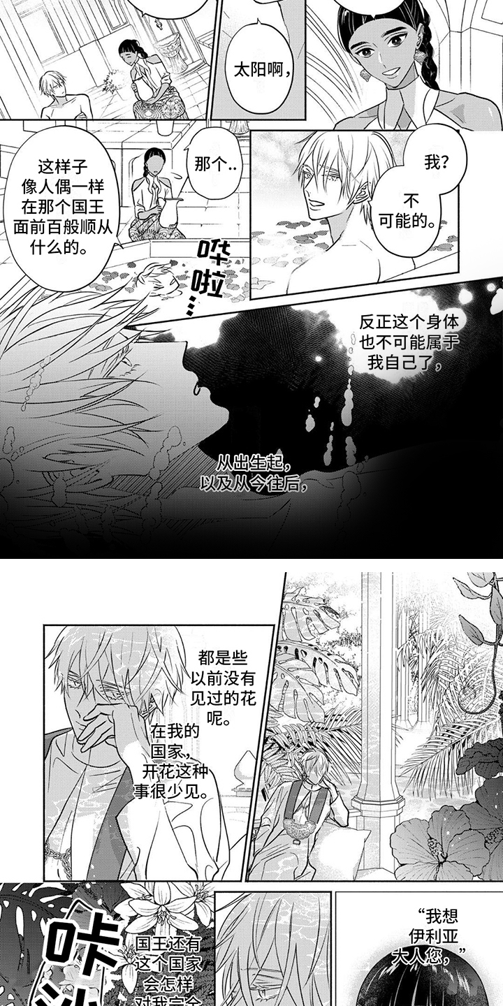 欧米伽王后漫画,第2话4图