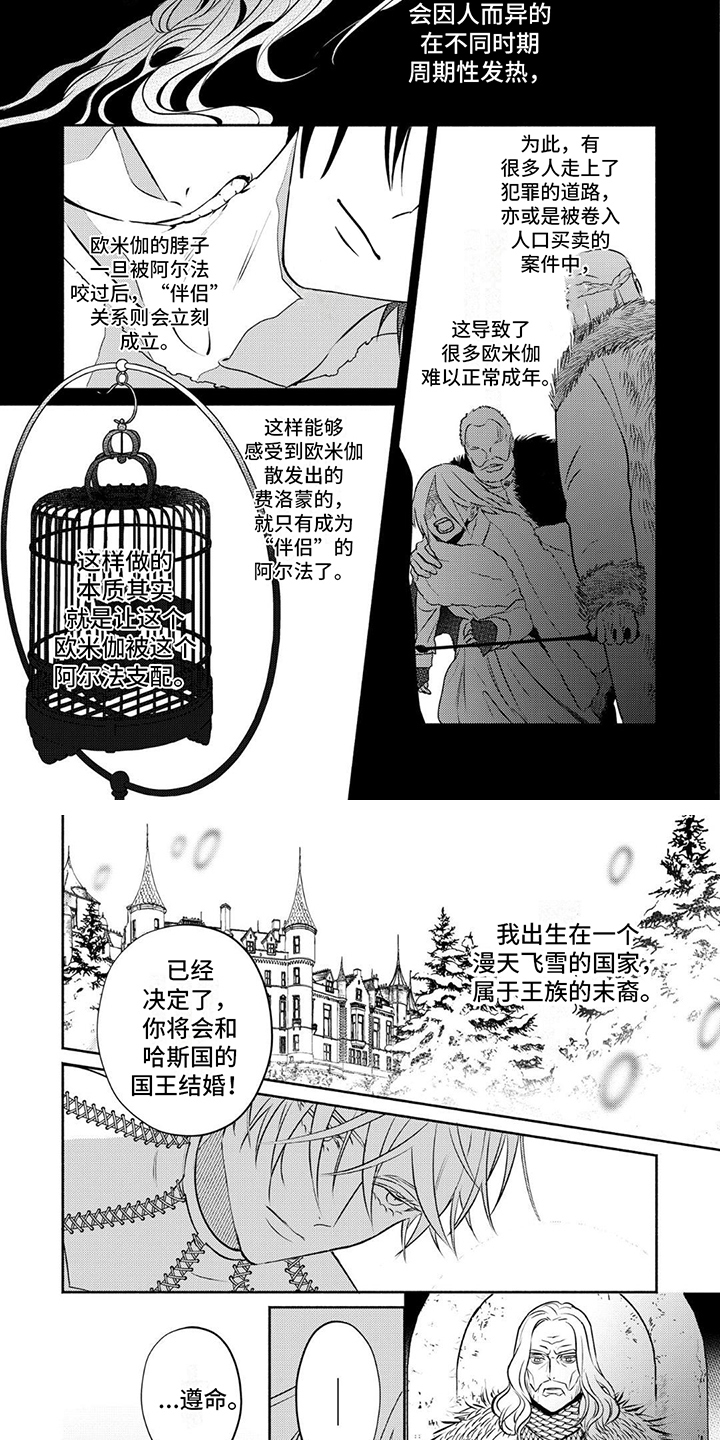 欧米伽王后漫画,第1话4图