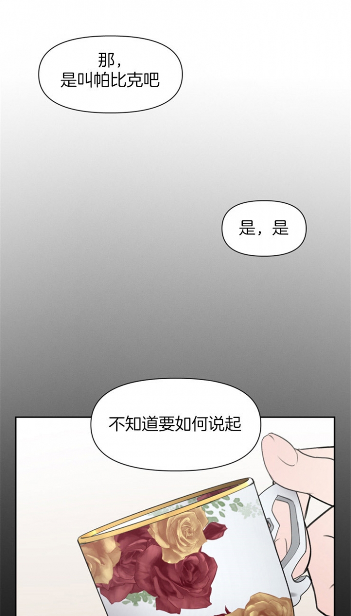 大公阁下的玩具漫画,第2话1图