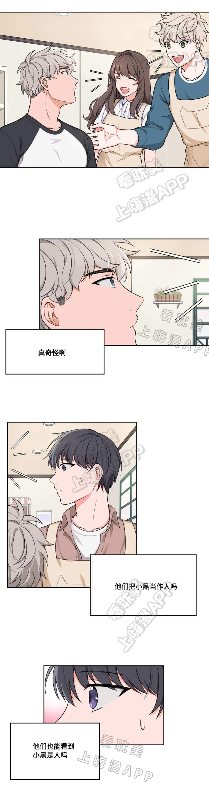 坐下等下kiss漫画,第6话1图