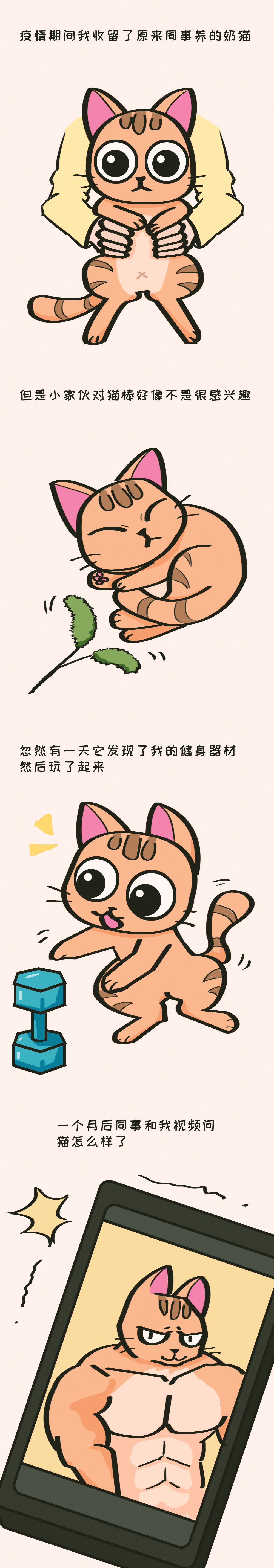 	疫情期间，我家健身的猫 漫画,第1话1图