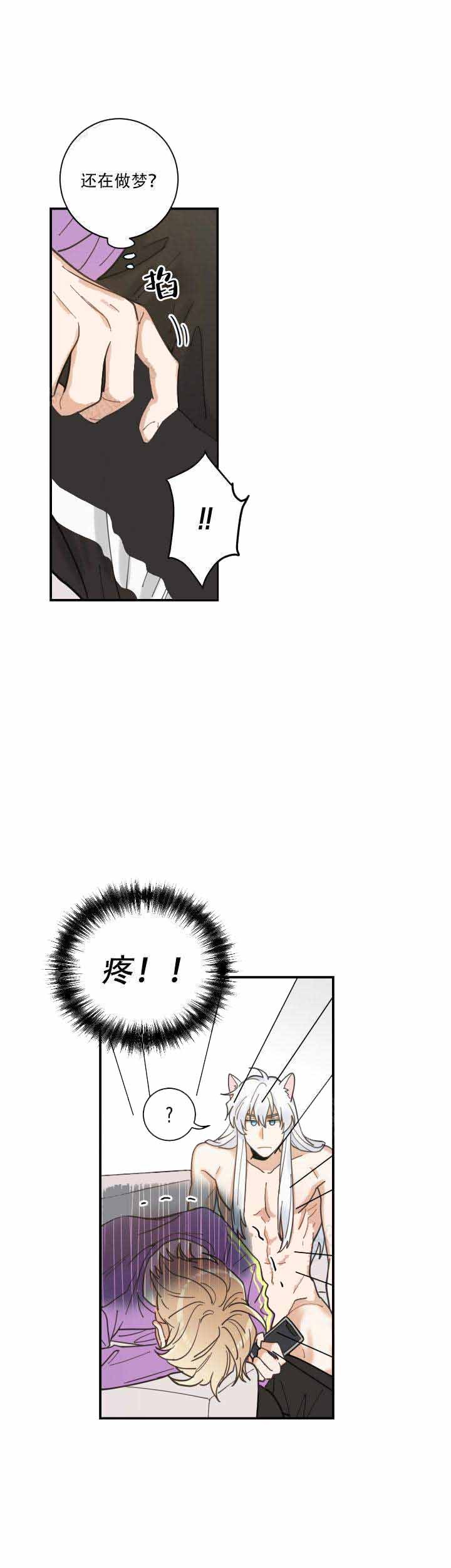 我唯一的猫猫漫画,第7话3图