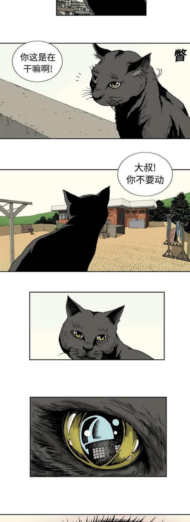 猛龙回到原点漫画,第2话4图