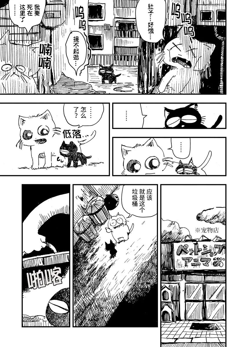 黑猫小小的一生漫画,第4话3图