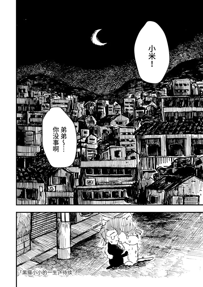 黑猫小小的一生漫画,第4话5图