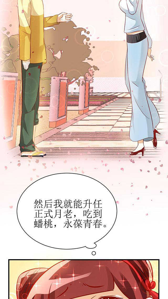 见习小月老漫画,第6话3图